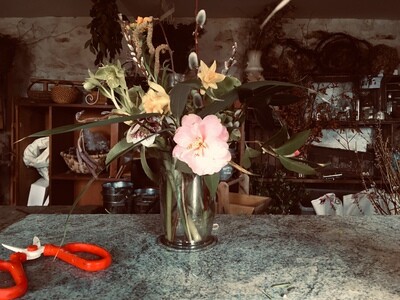 Bistro flowers - one weeks supply, Medium wrap