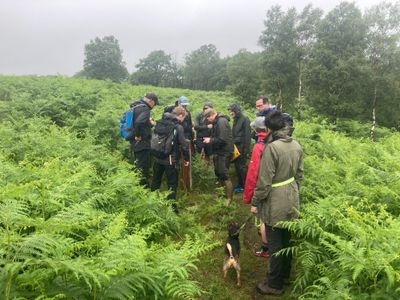 Workshops, Walks and Talks