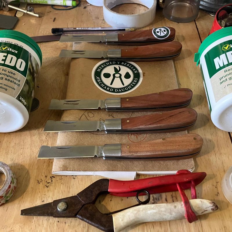 BUD GRAFTING / IMPIO BLAGUR (for beginners) 10th July 10 til 2:30