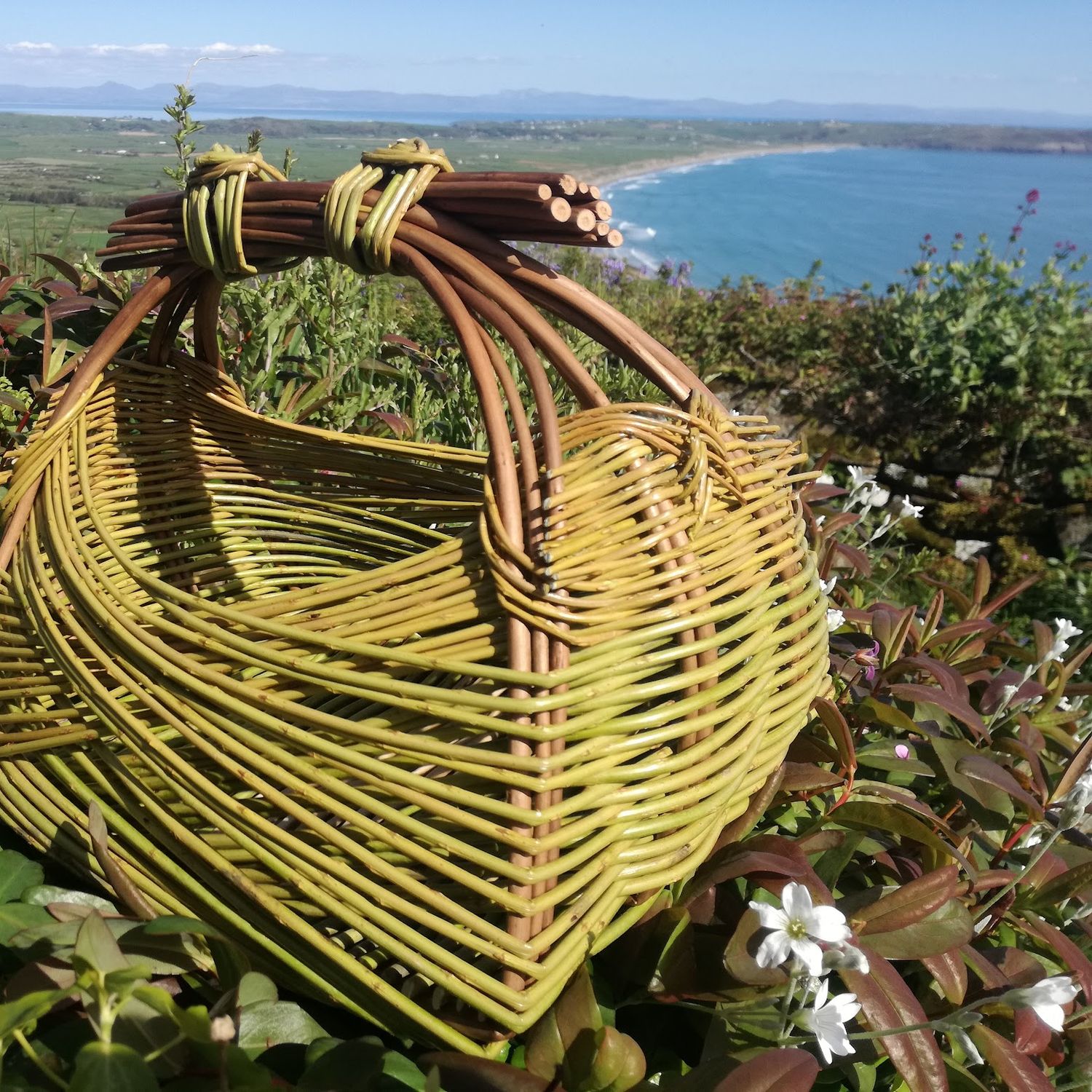 Make a Zarzo Flower Basket Friday 15th August