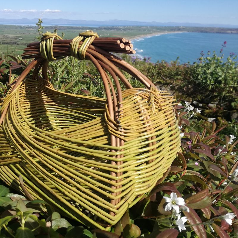 Make a Zarzo Flower Basket Friday 15th August