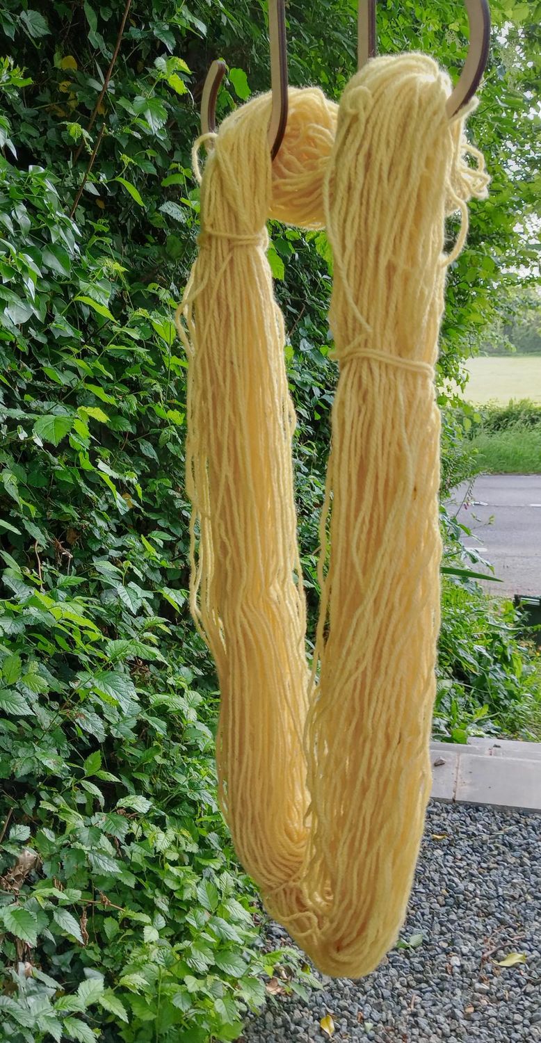 'Dyeing Wool with Foraged, Garden and Exotic Plants' 24th July 1:30-5pm