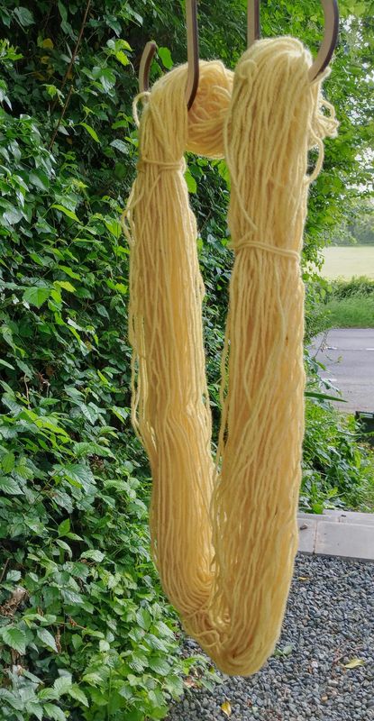 'Dyeing Wool with Foraged, Garden and Exotic Plants' 24th July 1:30-5pm