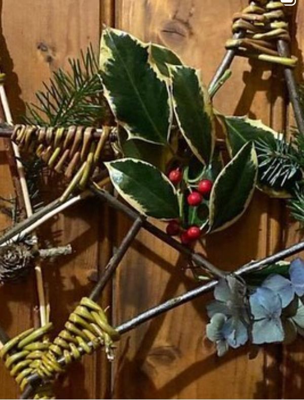 Willow Stars Workshop 9:30 - 11 Sat 29th Nov