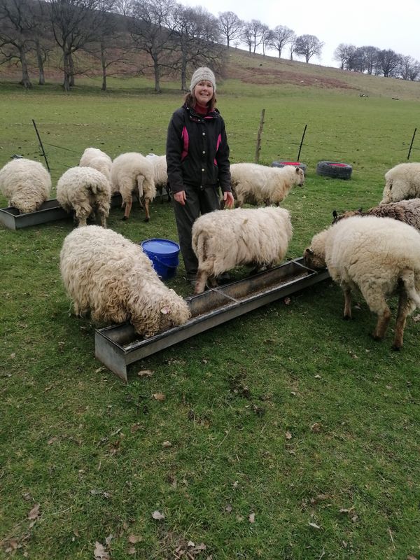 23rd October "Life on the small farm - the trials and tribulations of small scale meat production" 1-2pm
