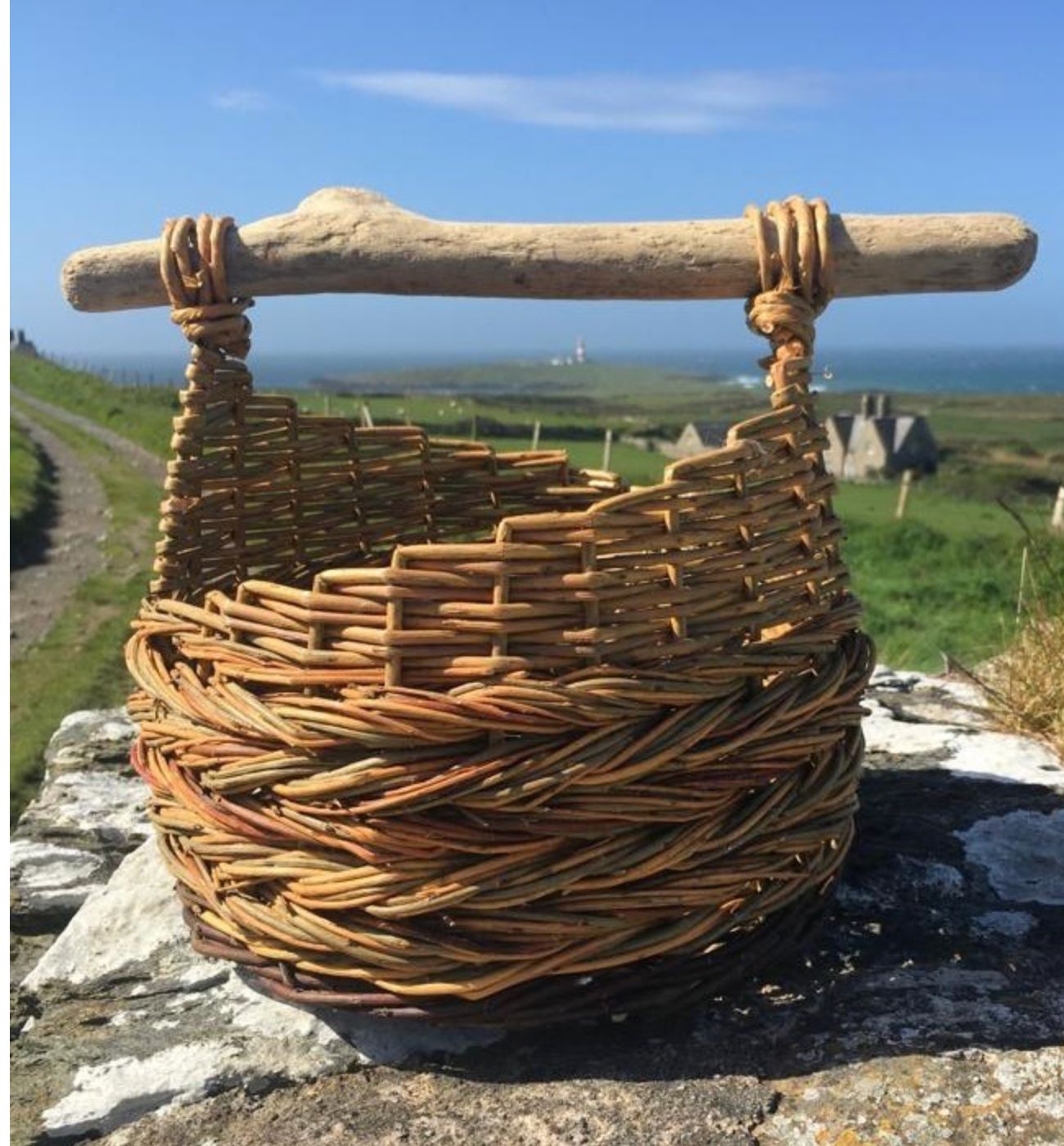 Weave a willow foraging basket with Jo Porter – 7 November 2025