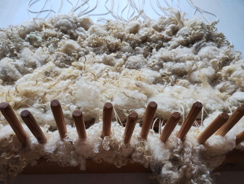 Peg Loom Weaving with Rare Breed Sheep Fleece 24th Jan
