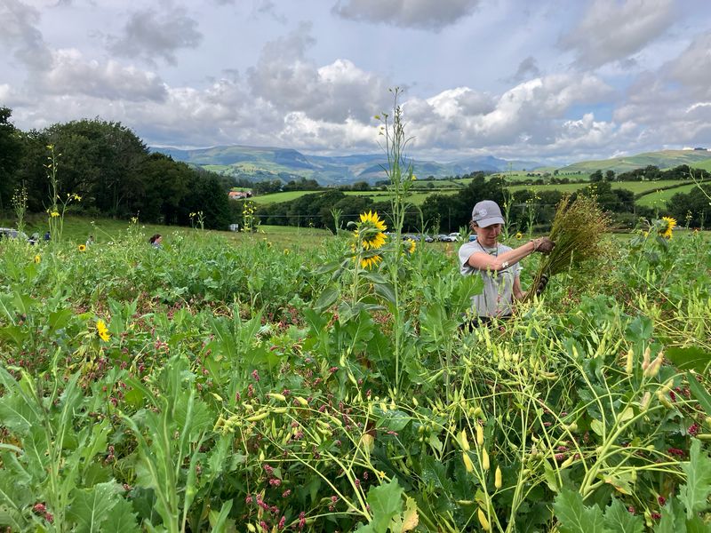 Distaff Day - Flax Processing 11th Jan 10-4