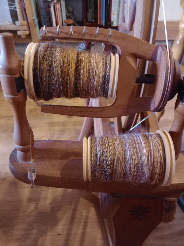 Card and Spin !  Saturday 21st Feb