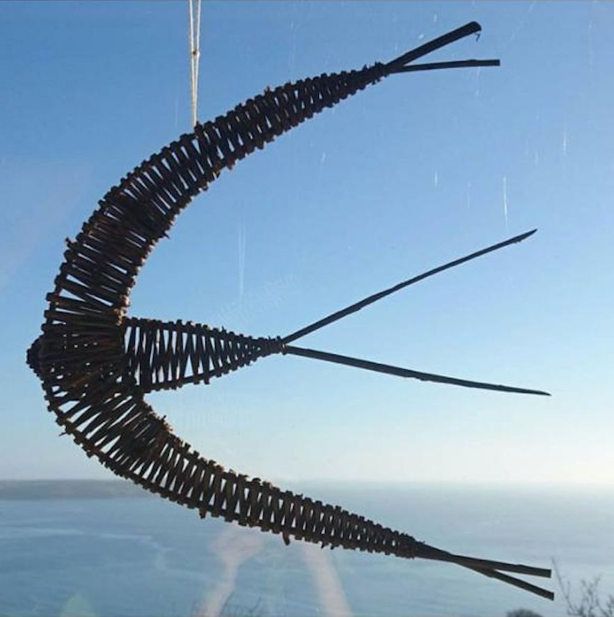 Willow swallows with Jo Porter 14th Feb