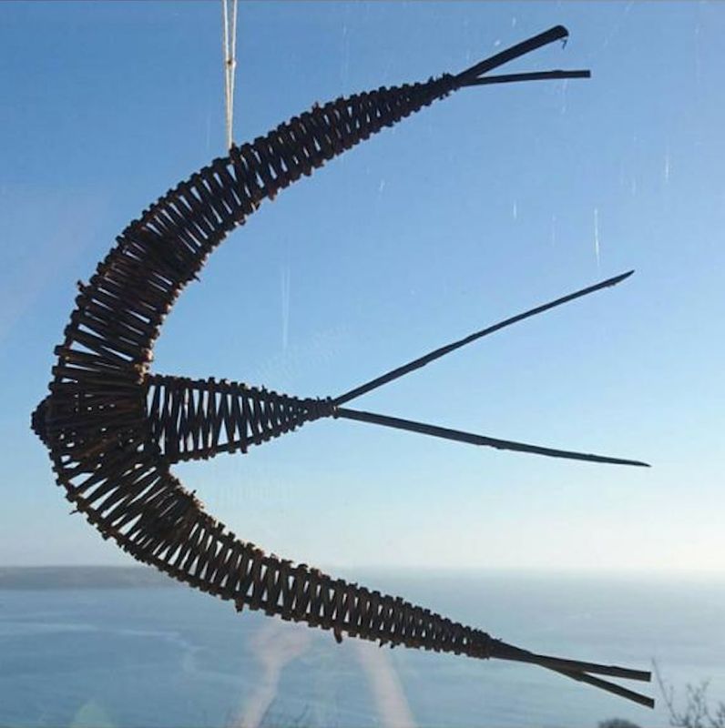 Willow swallows with Jo Porter 14th Feb Willow swallows with Jo Porter 14th Feb