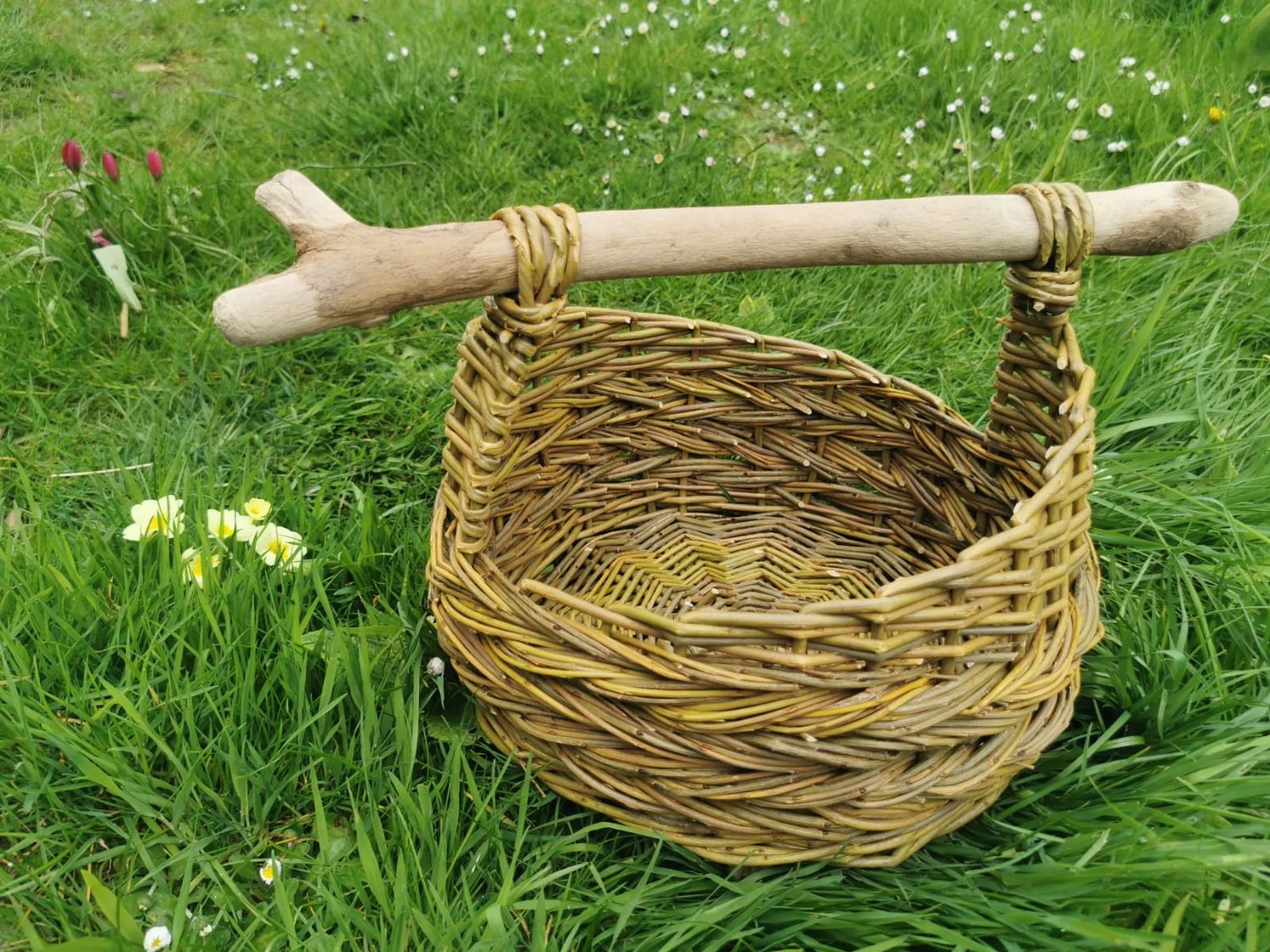 Weave a Driftwood-Handle Basket with Jo Porter - Saturday 7 November