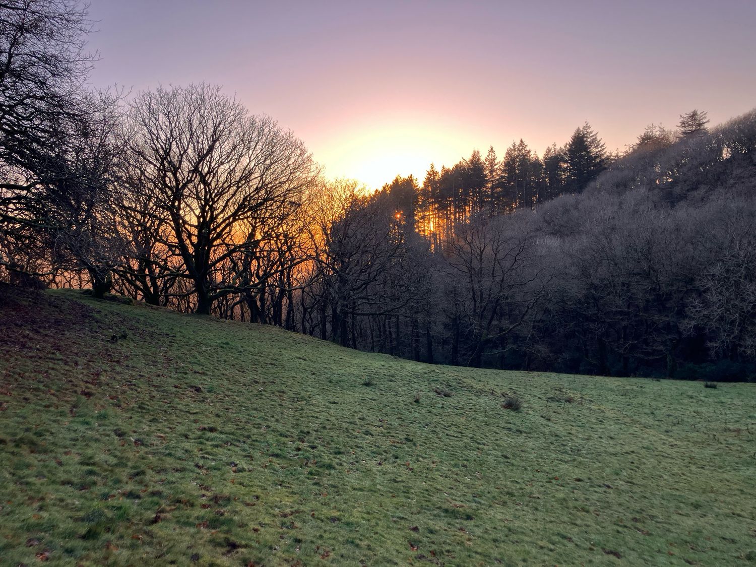 Gift Voucher For Courses