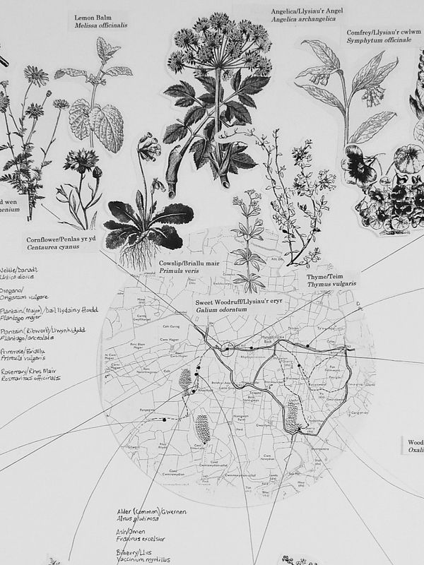 Fy filltir sgwar / My square mile. Saturday 6 June, 11.00-1.00 Fy filltir sgwar / My square mile. Saturday 6 June, 11.00-1.00