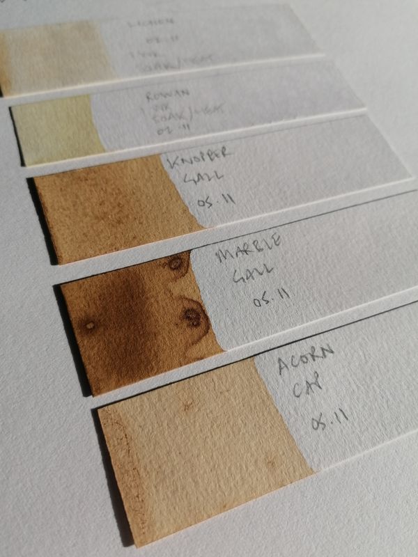 Making and Drawing with Botanical Inks. 25th April 11-4