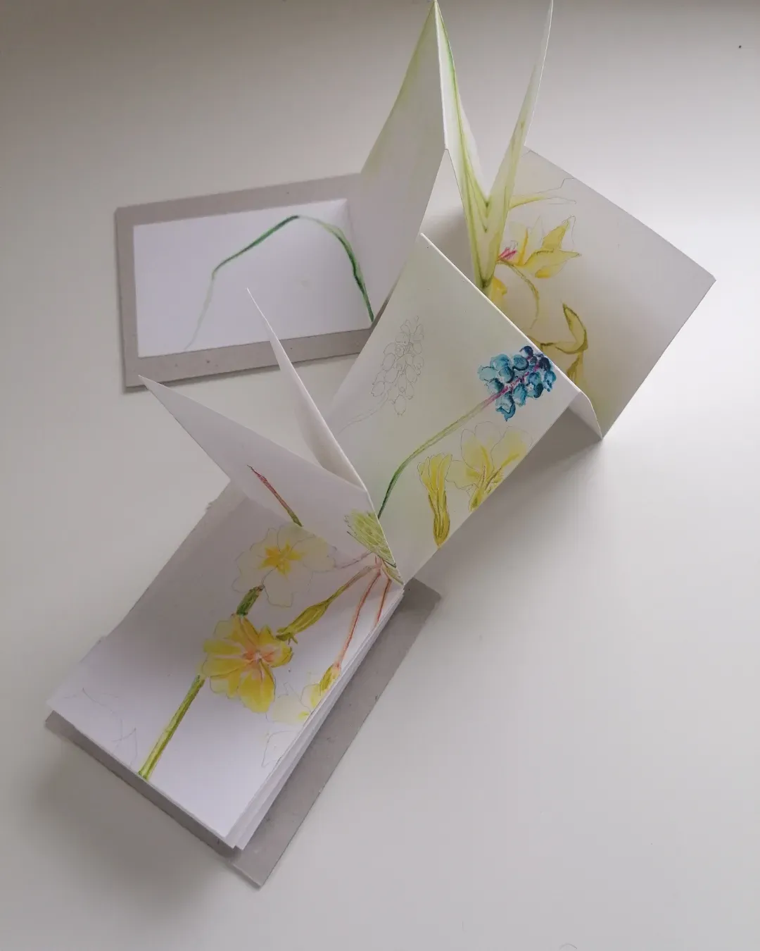 Botanical drawing : Spring hedgerows Saturday 23 May, 11.00-4.00