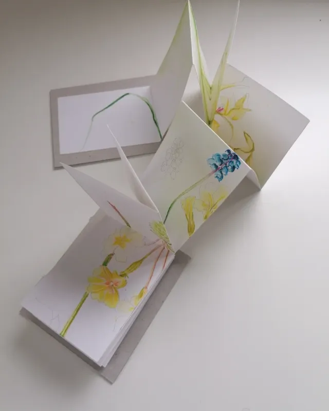 Botanical drawing : Spring hedgerows Saturday 23 May, 11.00-4.00 Botanical drawing : Spring hedgerows Saturday 23 May, 11.00-4.00