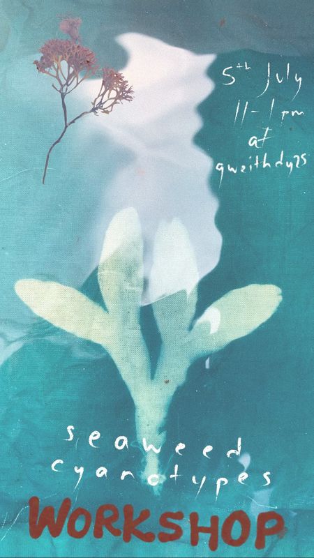 Seaweed Cyanotype, 5 July, 11-1