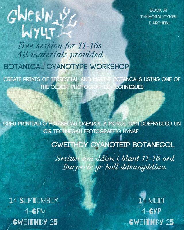14th Sept. Seaweed Cyanotype 11-16 year olds