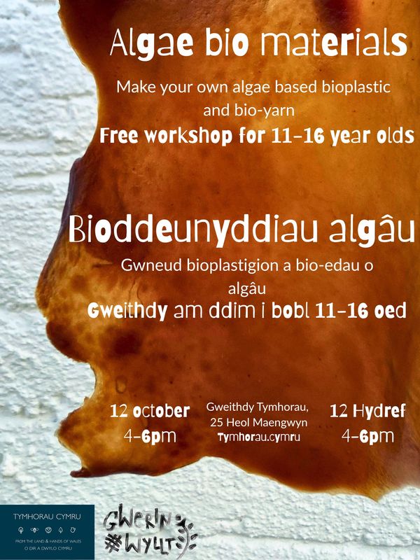 12 October 4-6pm. Algae bio materials/ Biodeunyddiau algâu  ar gyfer/for ages 11-16. Free/Am ddim