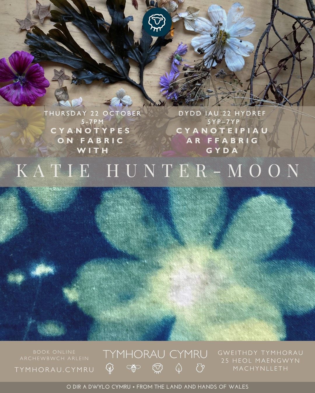 Botanical Cyanotype Evening Printing, Thursday 22 October, 5-7pm