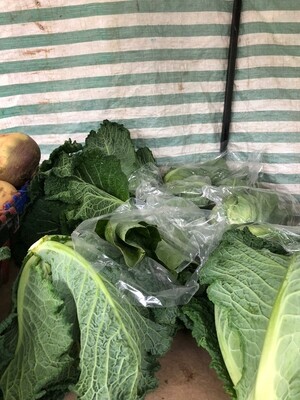 Cabbage chemical and fertiliser free