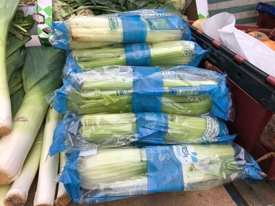 Celery irish
