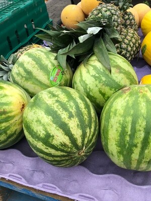 Watermelon XL 
