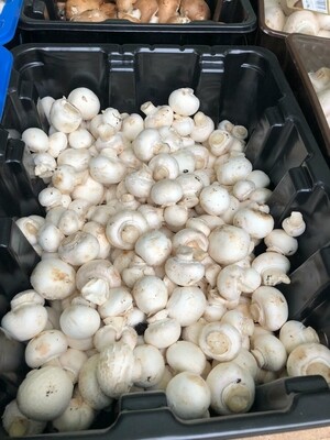 Button mushrooms per kg