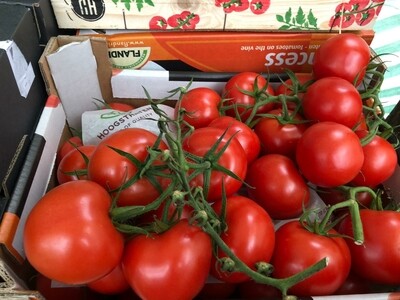 Vine tomatoes per kg