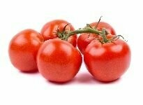 Tomaten Strauch ELITE