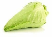 Spitzkohl