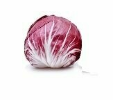 Radicchio
