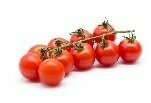 Tomate Cocktail  am Zweig