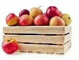 Äpfel