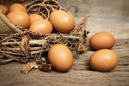 EIER