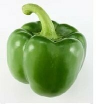 Paprika  - grün - lose