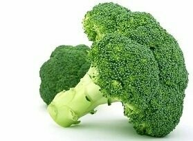 Broccoli auf  Eis