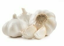 Knoblauch frisch Knolle Knoblauch frisch Knolle