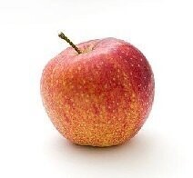 Apfel Elstar