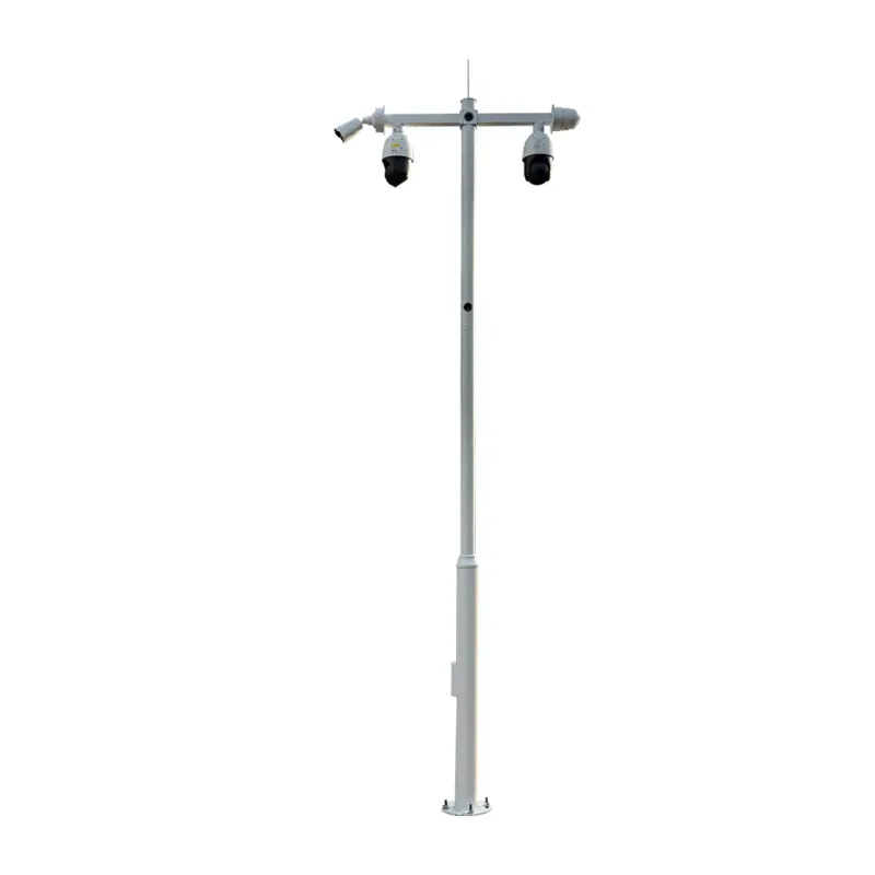 Standard Security Pole