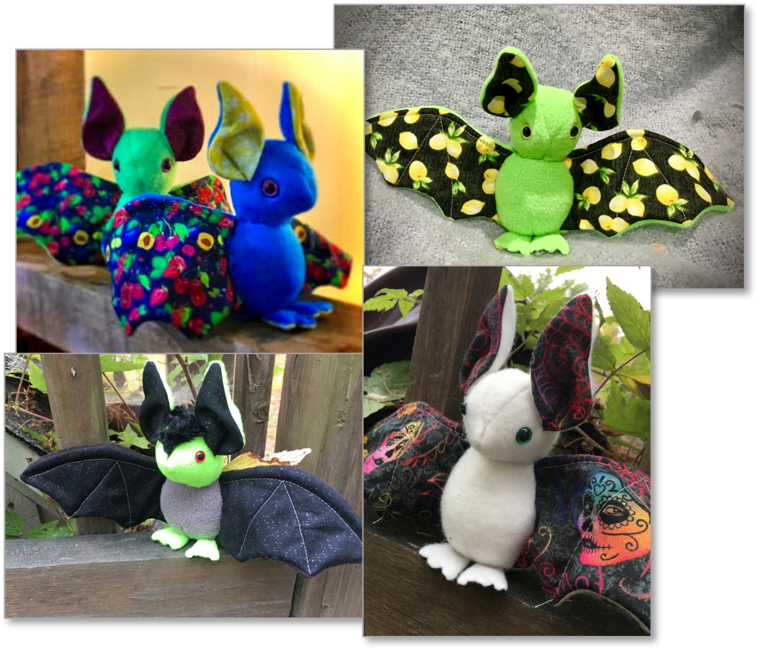Bat photos