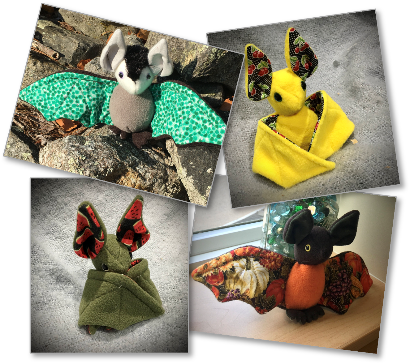 Bat photos