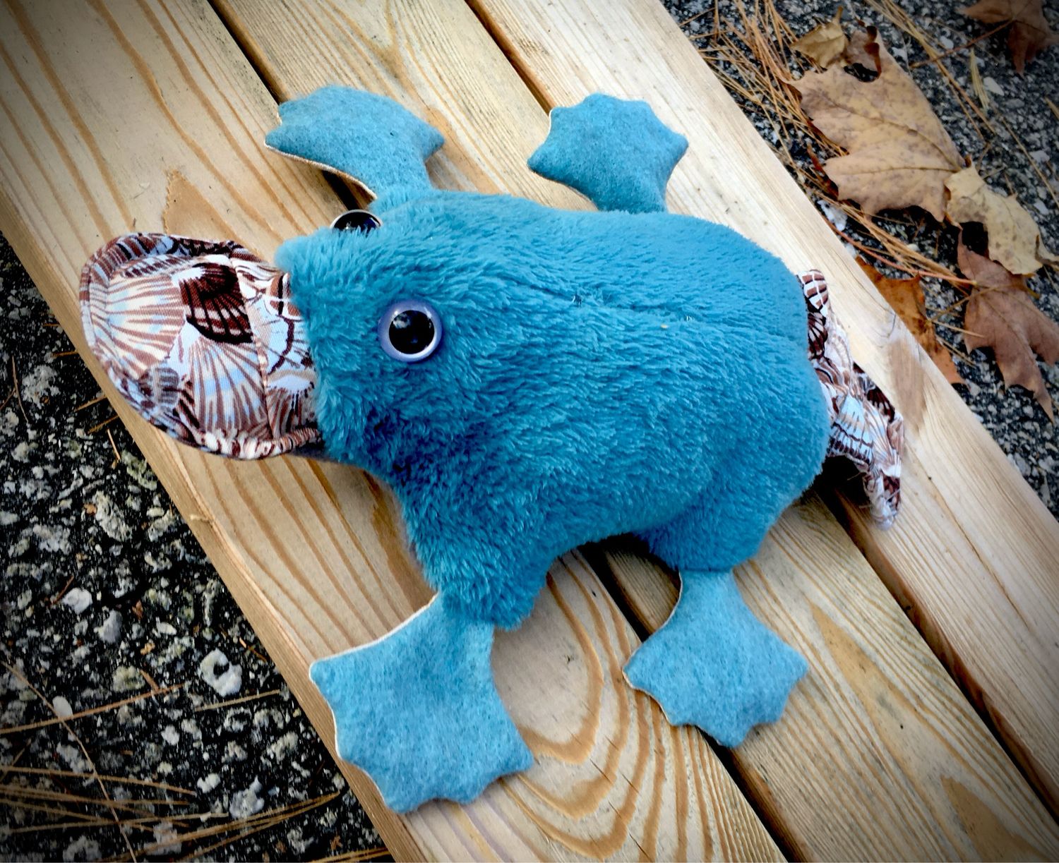 Platypus Photos