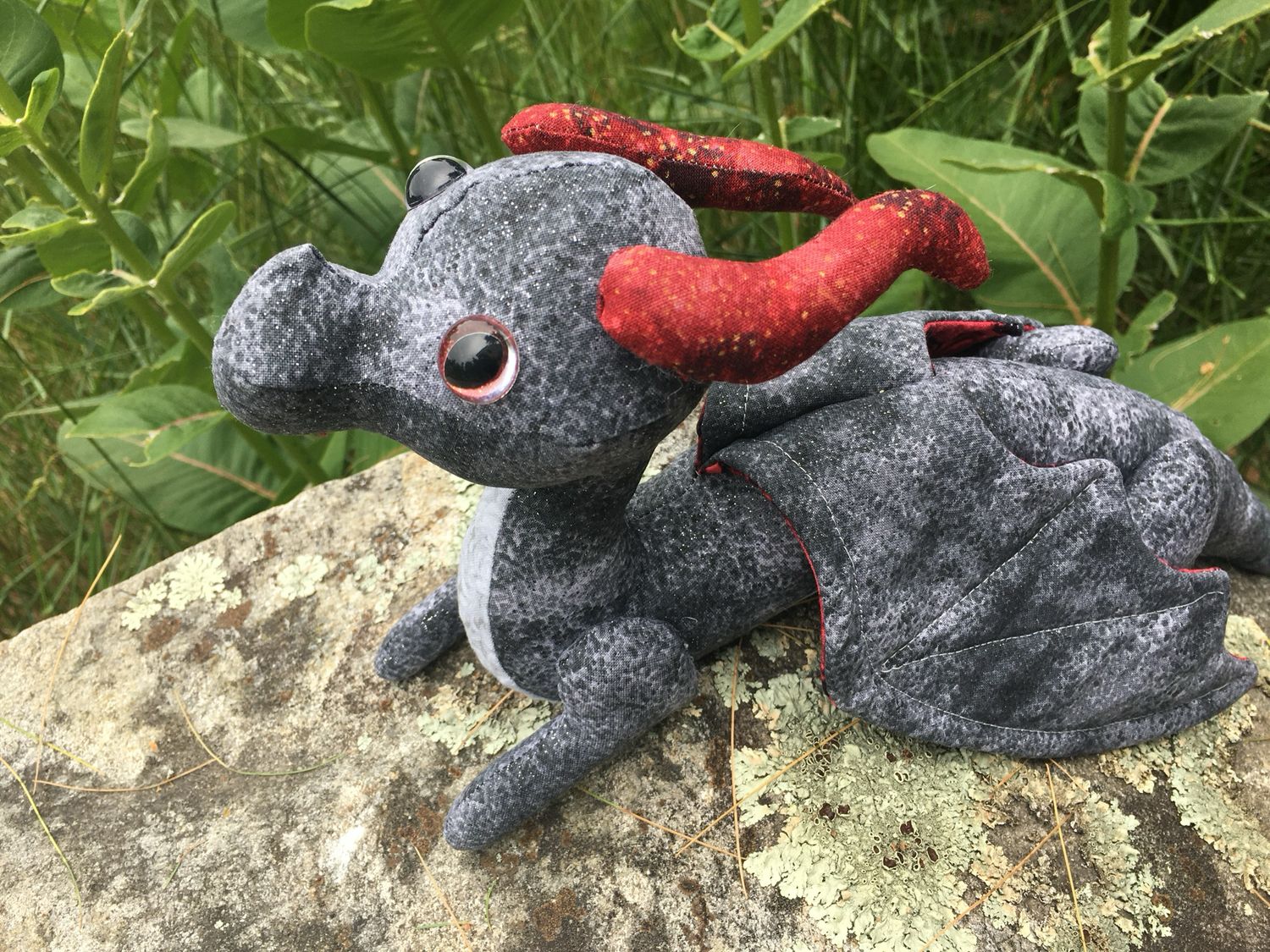 Dragon Photos