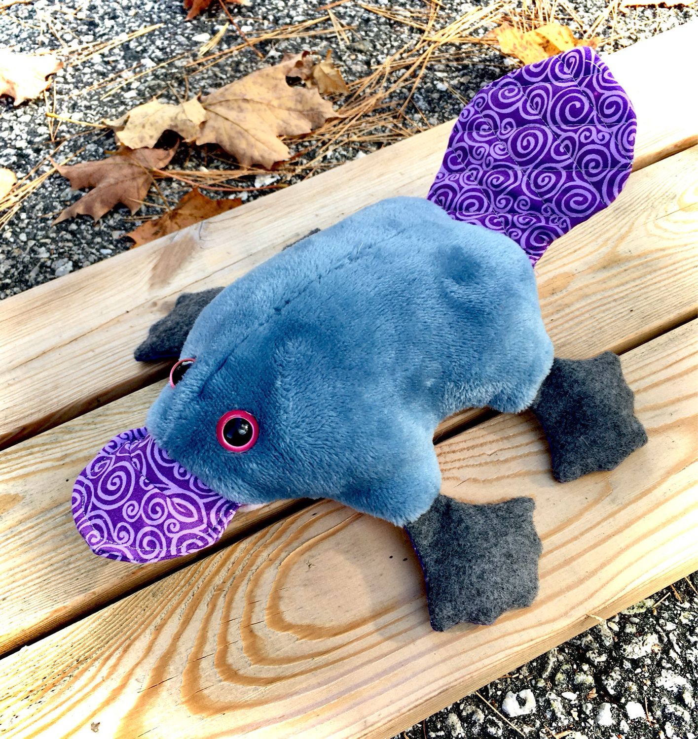 Platypus Photos