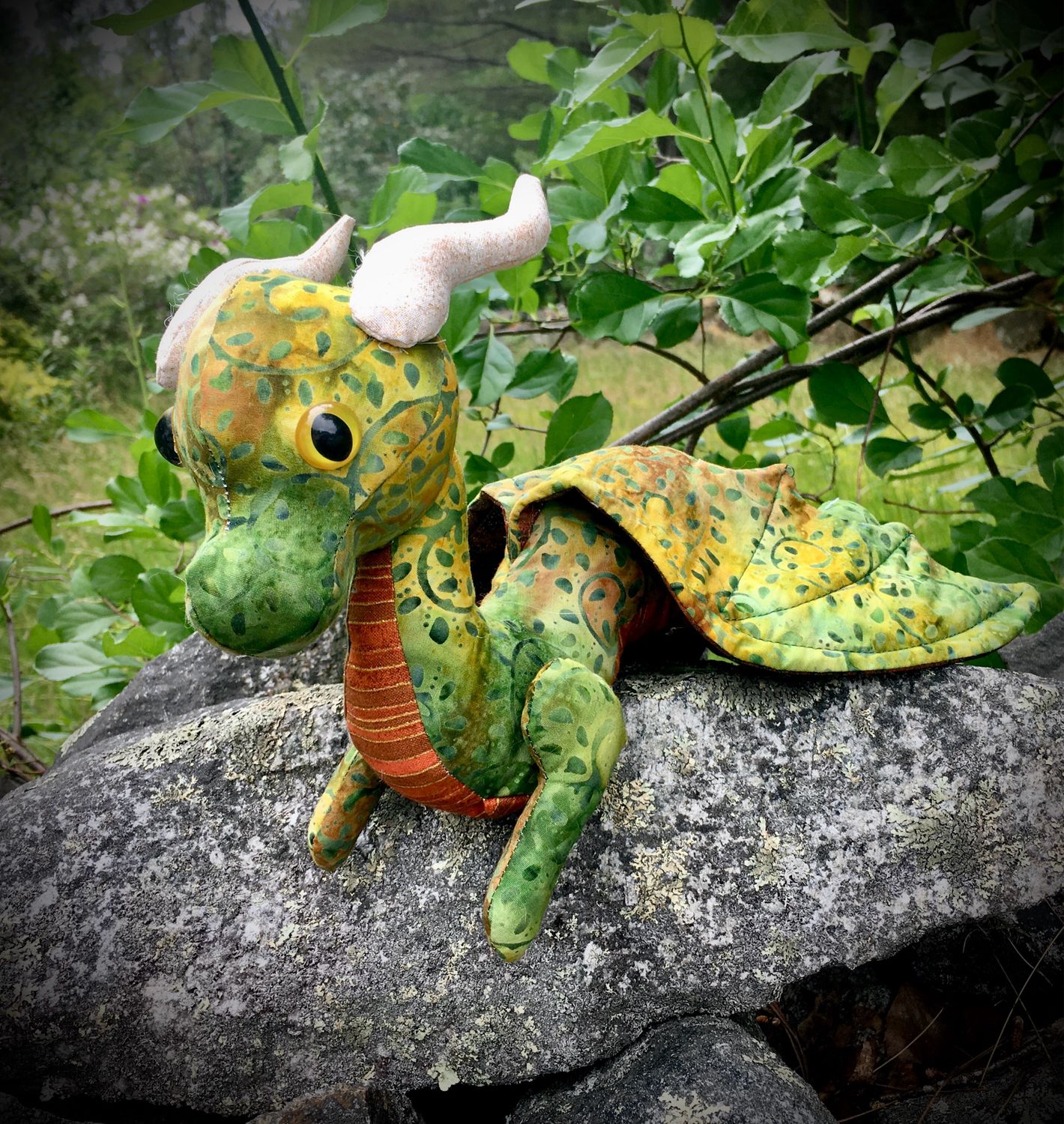 Dragon Photos