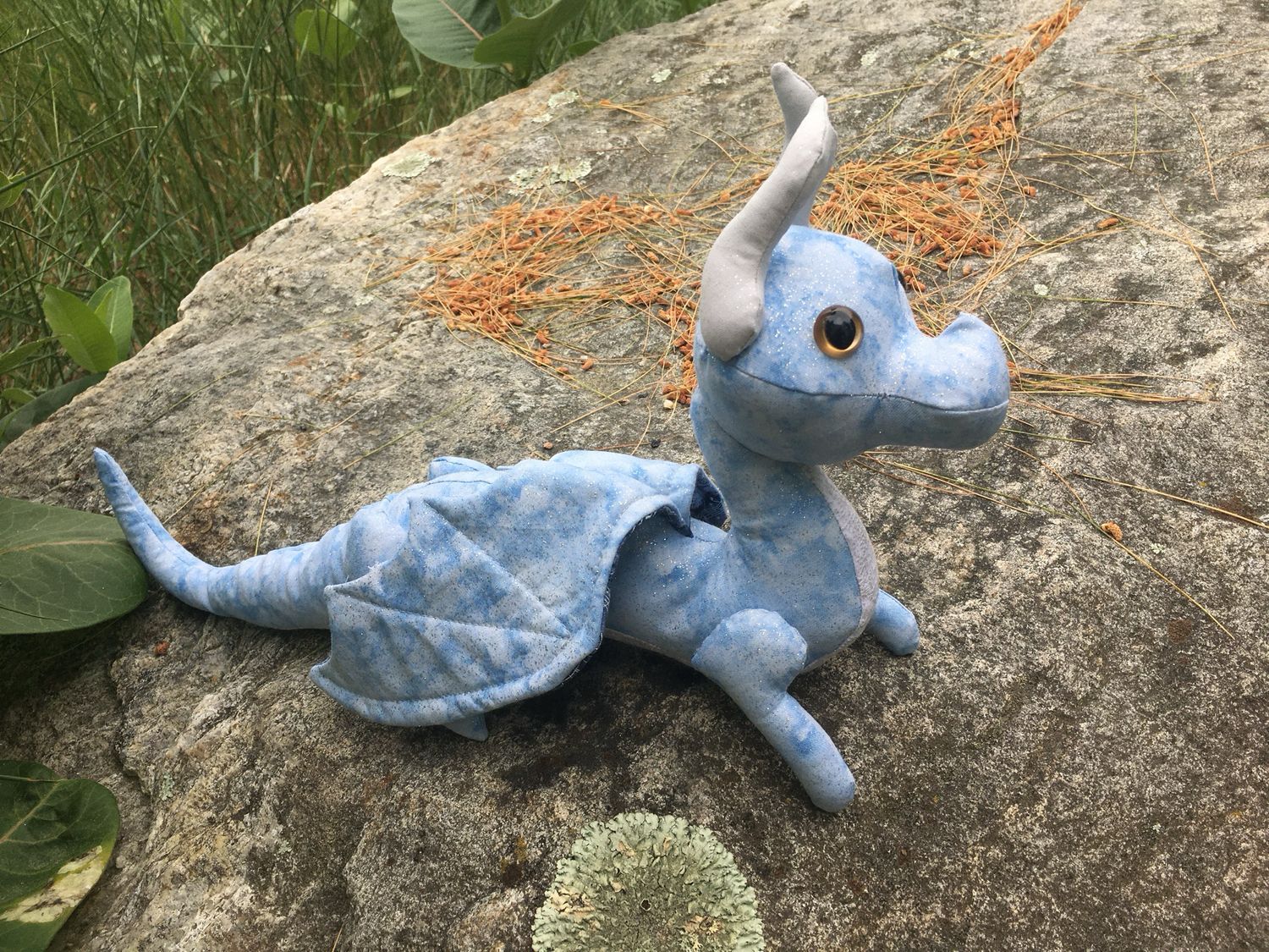 Dragon Photos
