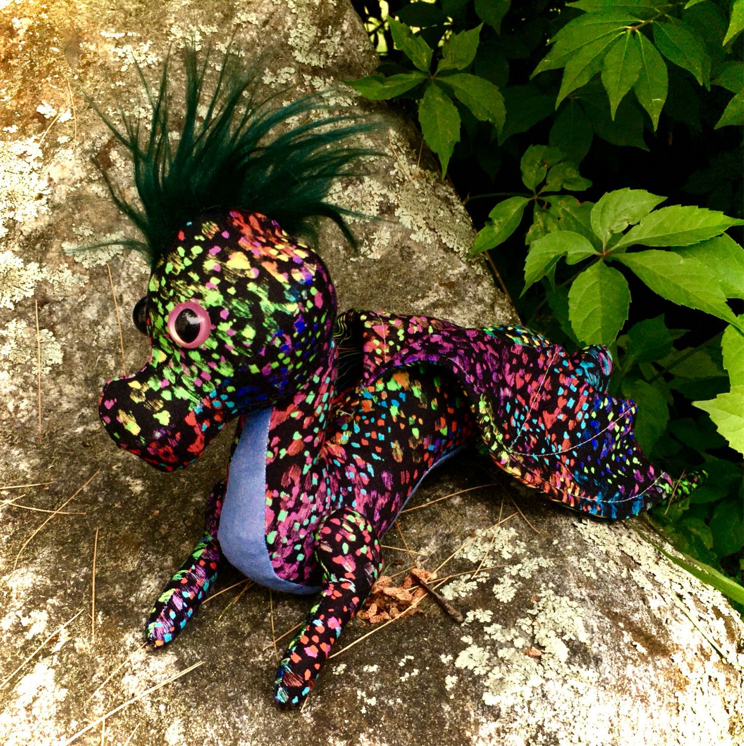 Dragon Photos