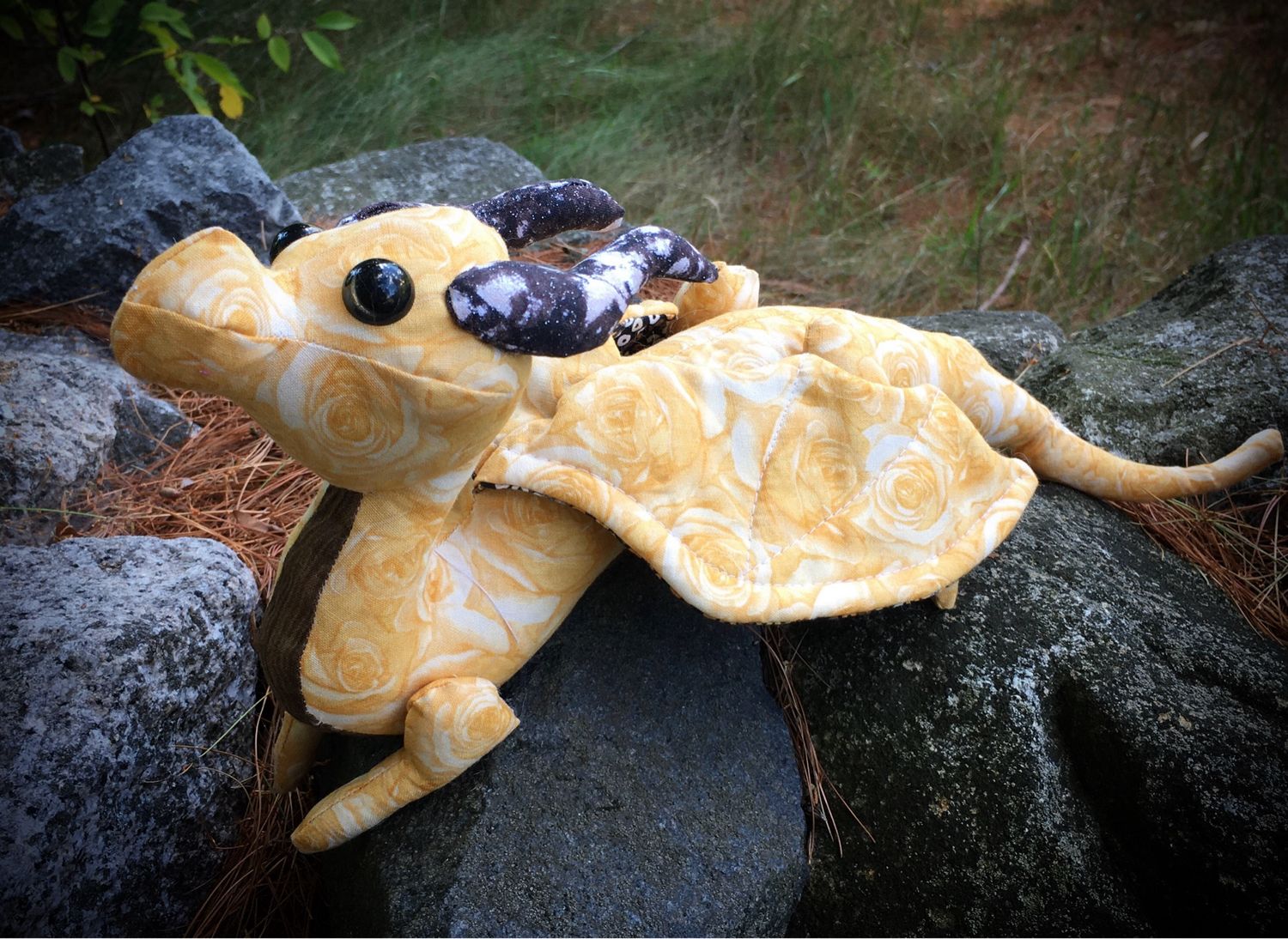 Dragon Photos